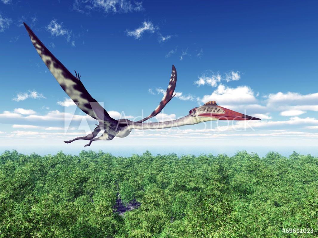 Afbeeldingen van Pterosaur Quetzalcoatlus